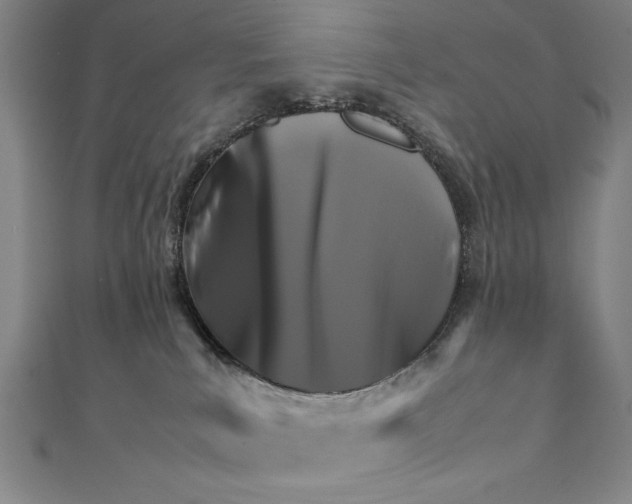 X0000111210039200907291301