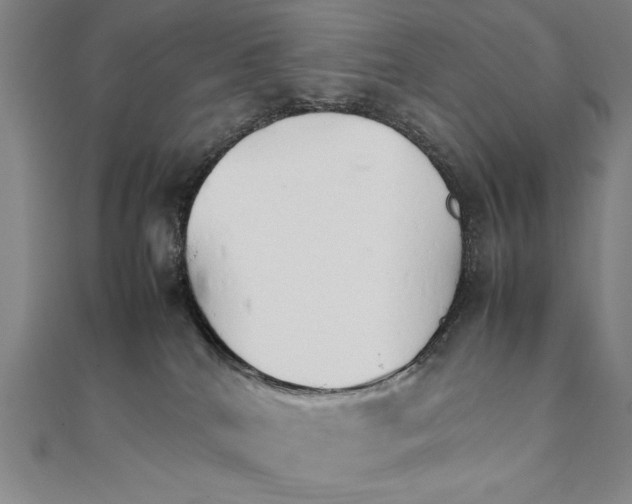 X0000111210040200907291301