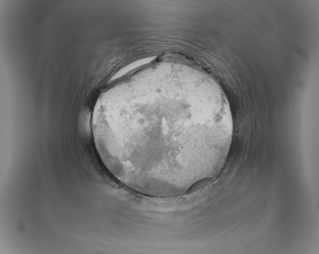 X0000111210041200907291301