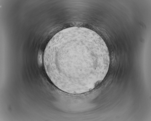 X0000111210042200907291301