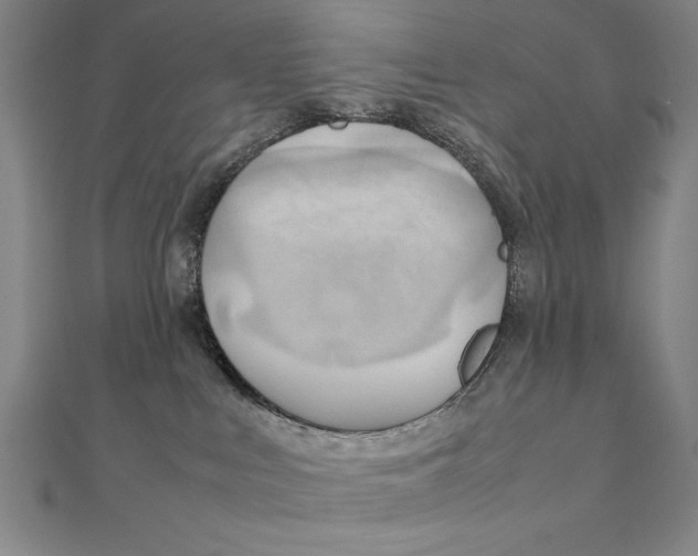 X0000111210043200907291301