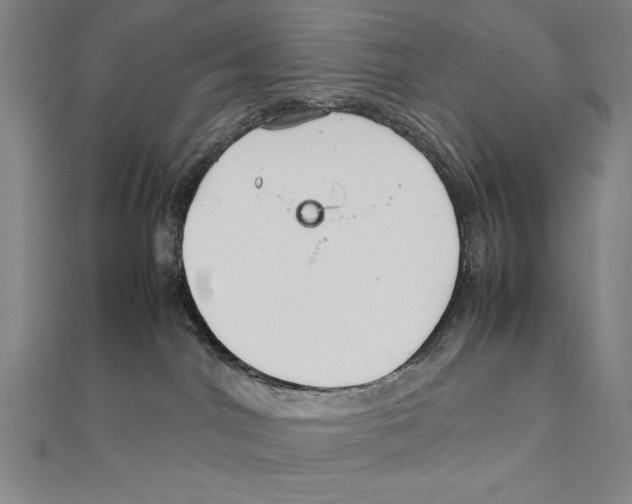 X0000111210044200907291301