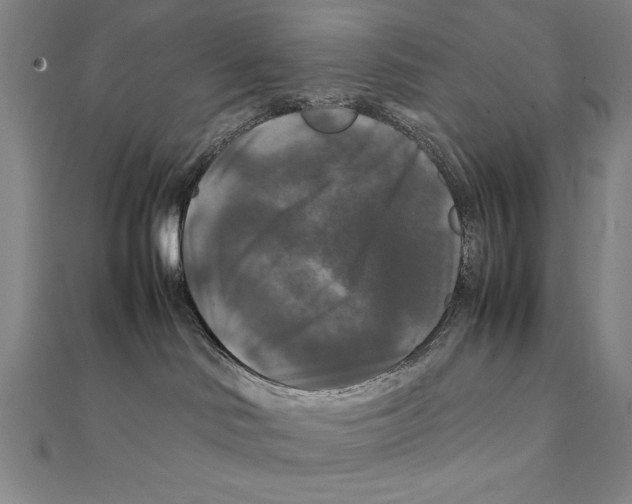 X0000111210046200907291301