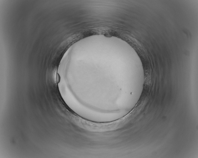 X0000111210047200907291301