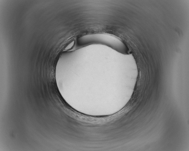 X0000111210048200907291301