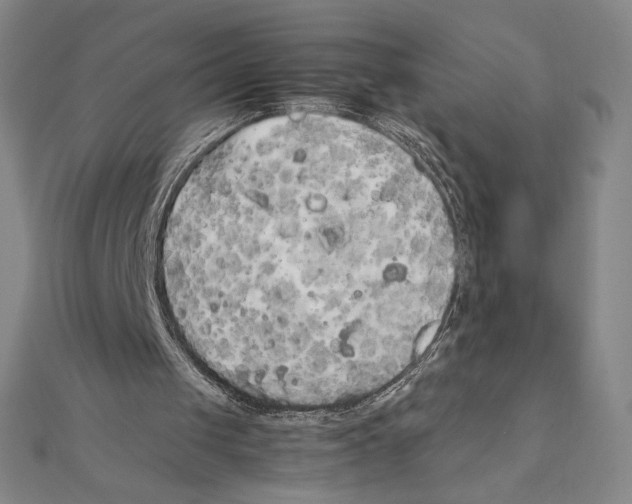 X0000111210049200907291300