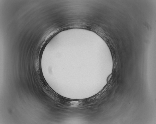 X0000111210050200907291300