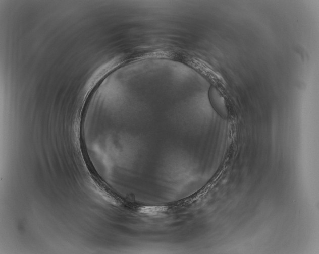 X0000111210051200907291300