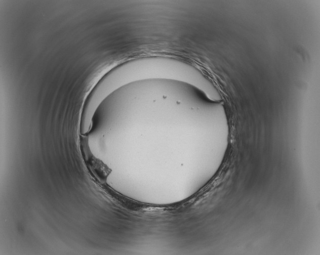 X0000111210052200907291300