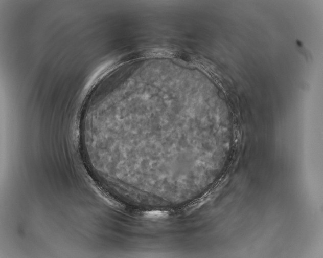 X0000111210053200907291300