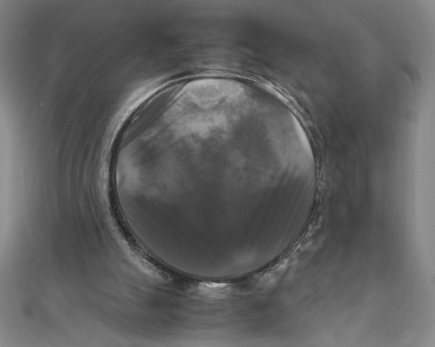 X0000111210055200907291300