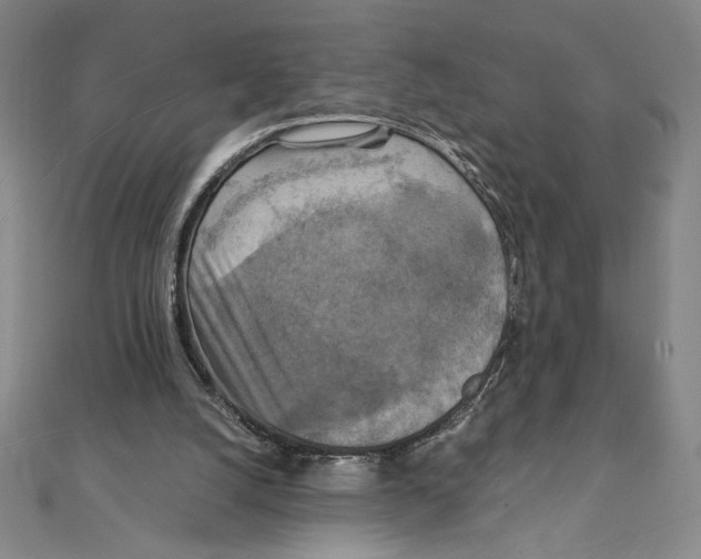 X0000111210056200907291300