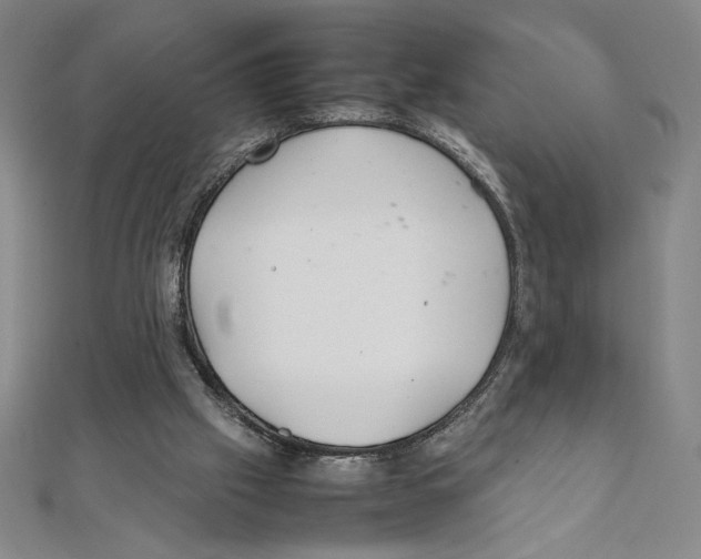 X0000111210057200907291300