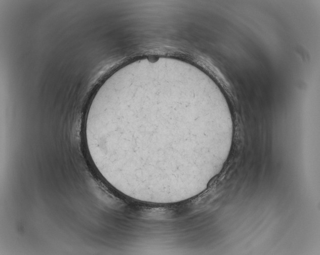 X0000111210058200907291300