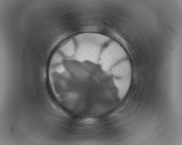 X0000111210059200907291300