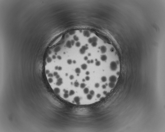 X0000111210063200907291300