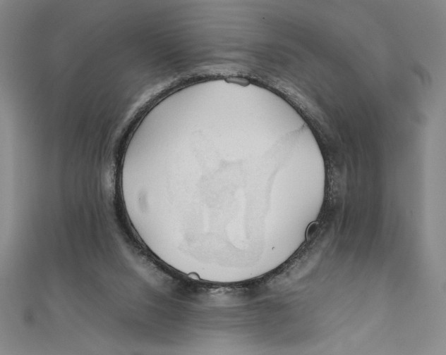 X0000111210064200907291300