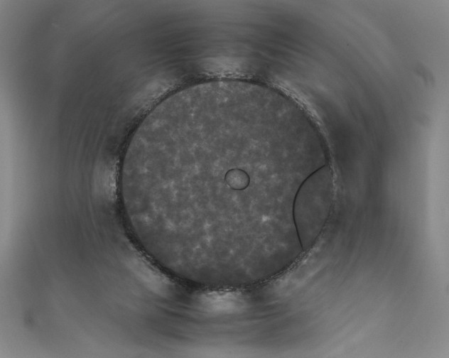 X0000111210065200907291300