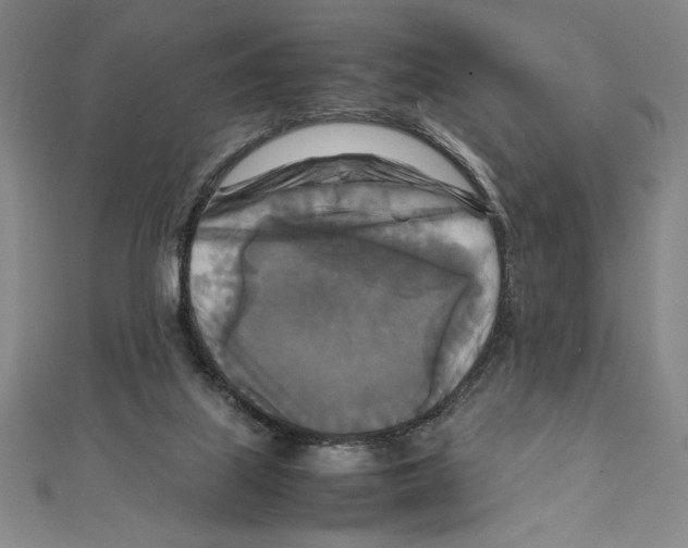 X0000111210067200907291300