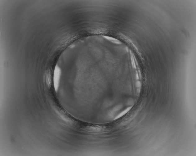 X0000111210069200907291300