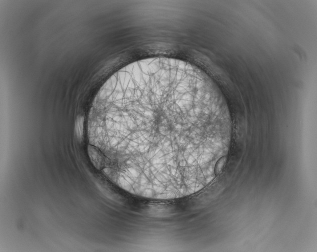 X0000111210070200907291300