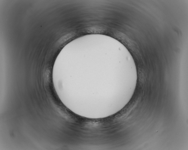 X0000111210071200907291300