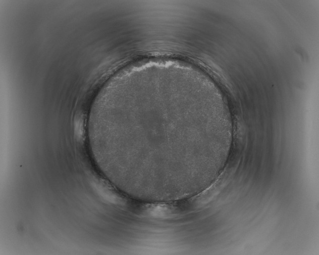 X0000111210074200907291300