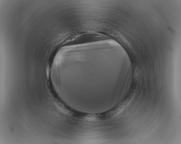 X0000111210076200907291300