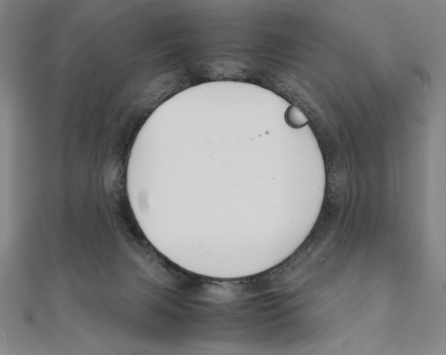 X0000111210079200907291300