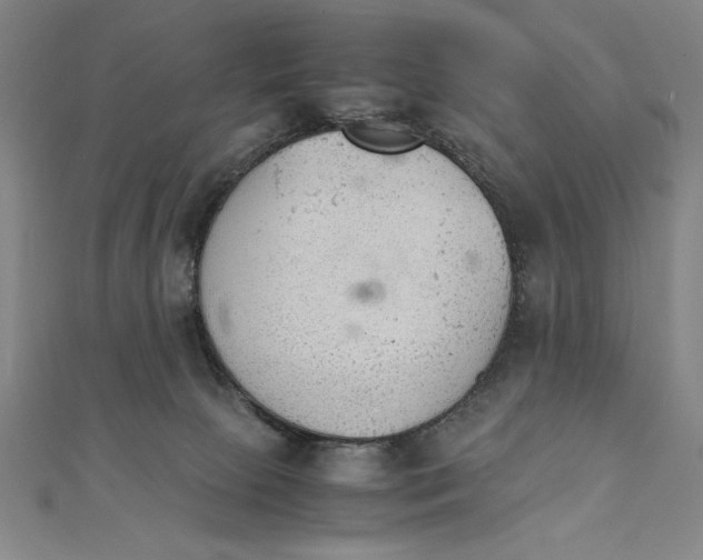 X0000111210081200907291300