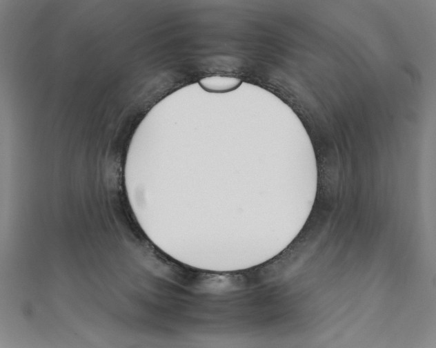 X0000111210083200907291300