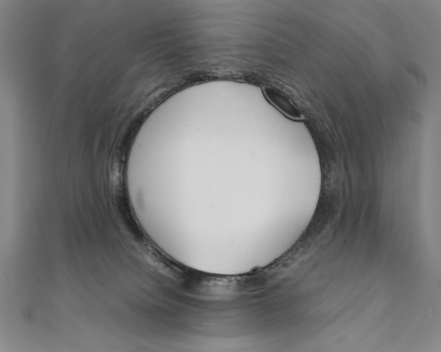 X0000111210084200907291300