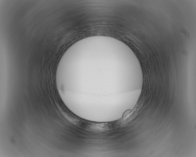 X0000111210086200907291300