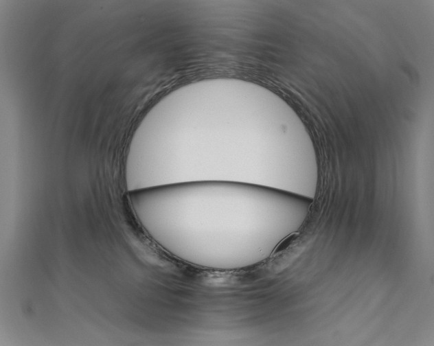 X0000111210088200907291300