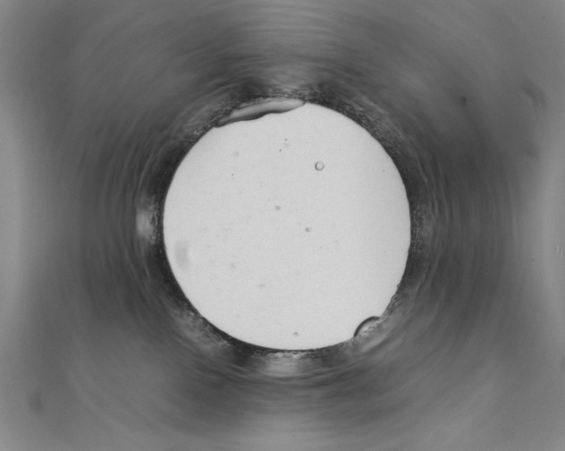 X0000111210090200907291300