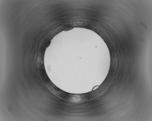 X0000111210091200907291300