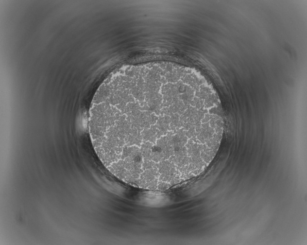 X0000111210095200907291300