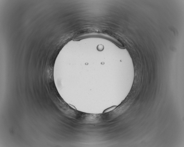 X0000111210096200907291300