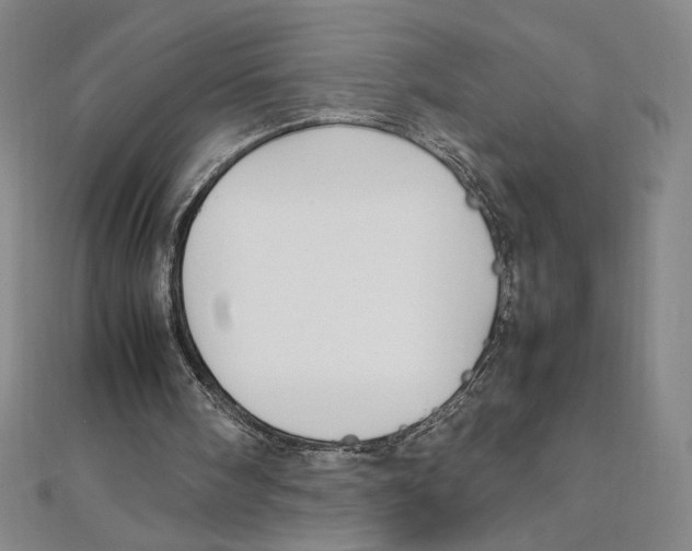 X0000111210098200907291300