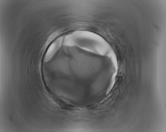 X0000111210099200907291300