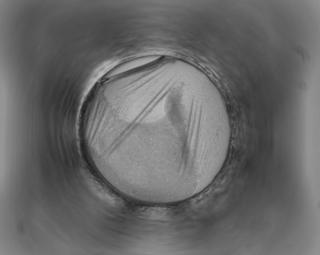 X0000111210104200907291300