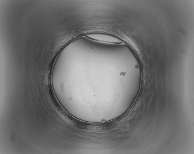 X0000111210105200907291300