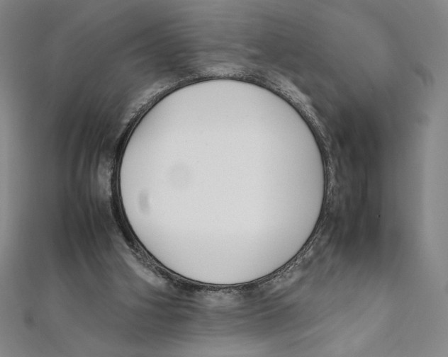 X0000111210106200907291300