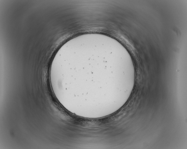 X0000111210107200907291300