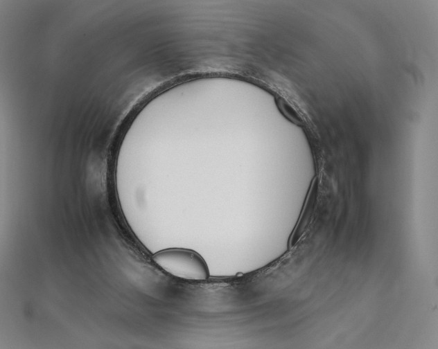 X0000111210108200907291259