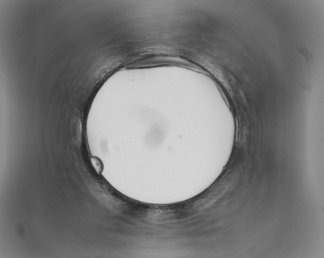 X0000111210109200907291259