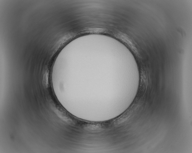 X0000111210110200907291259