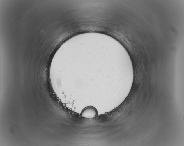 X0000111210111200907291259