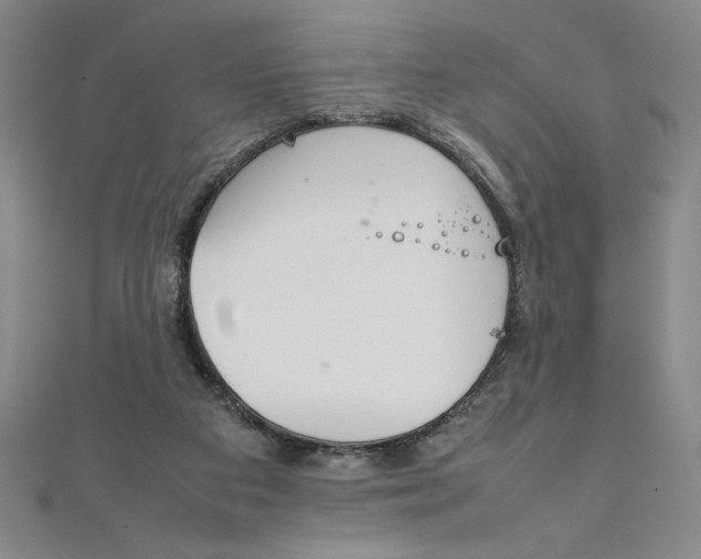 X0000111210113200907291259