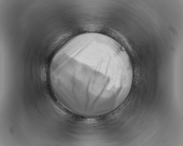 X0000111210114200907291259